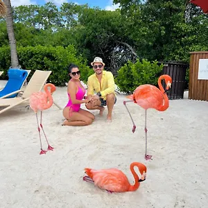  Apartamento Bavaro Suites Pool República Dominicana